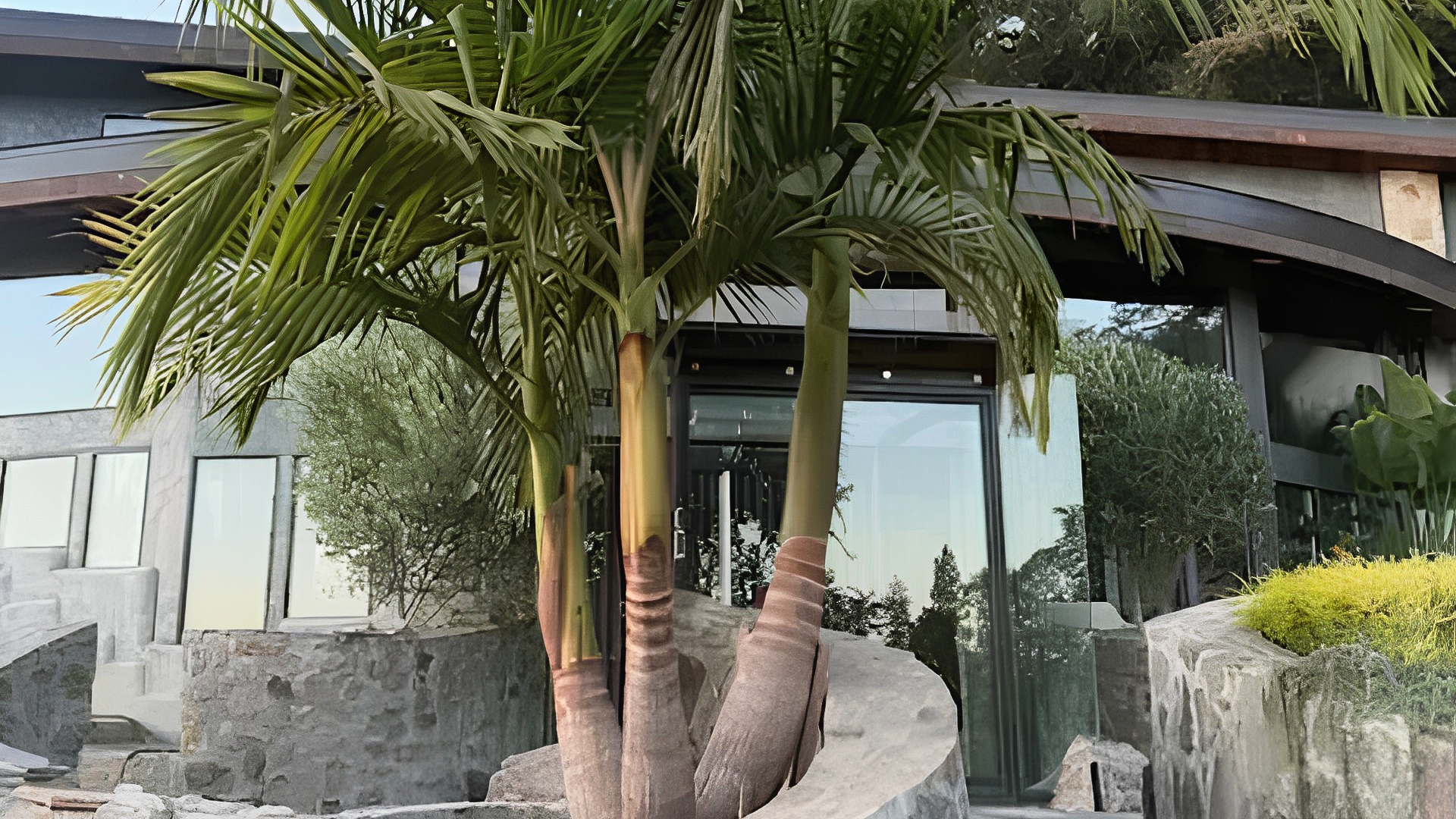 Tropical entrance with palm trees, stone walls, and a modern building facade