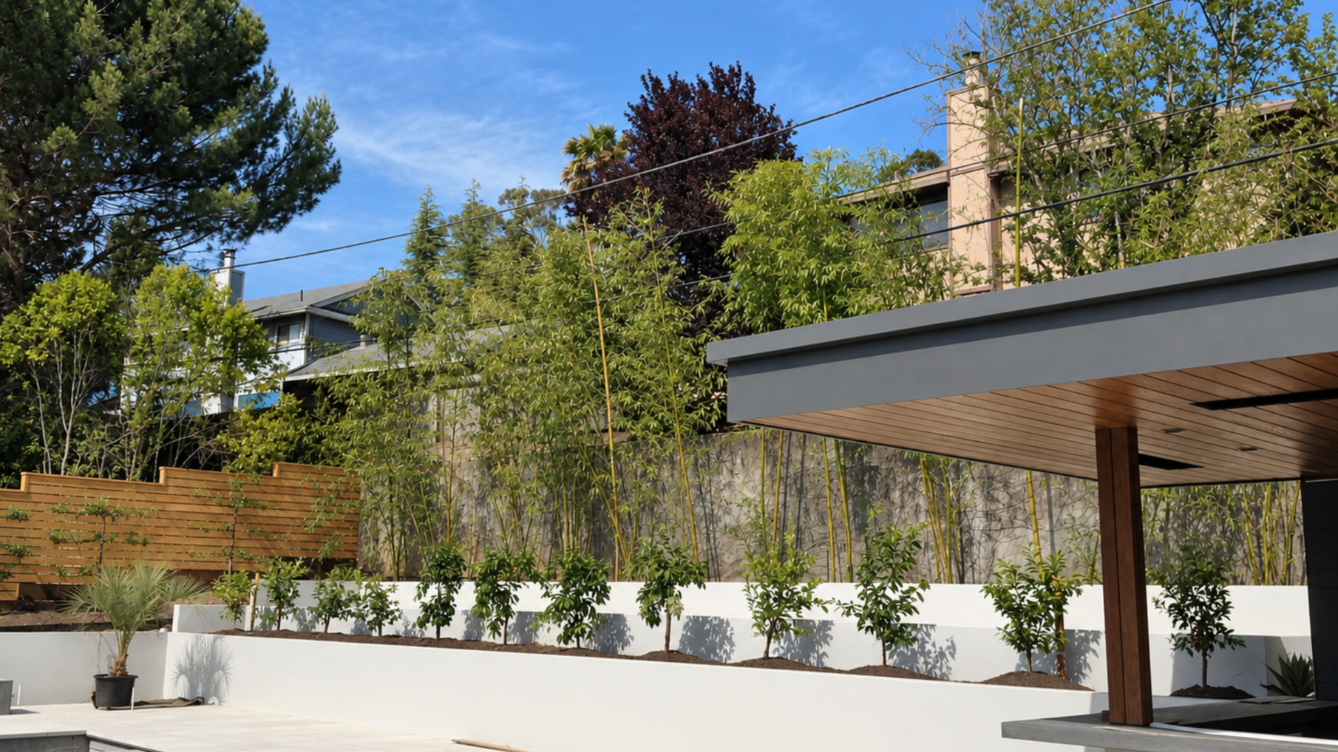 Modern patio with white planters, green trees, and a wooden pergola under a blue sky, a work of Jungle Bamboo and Palm Nursery