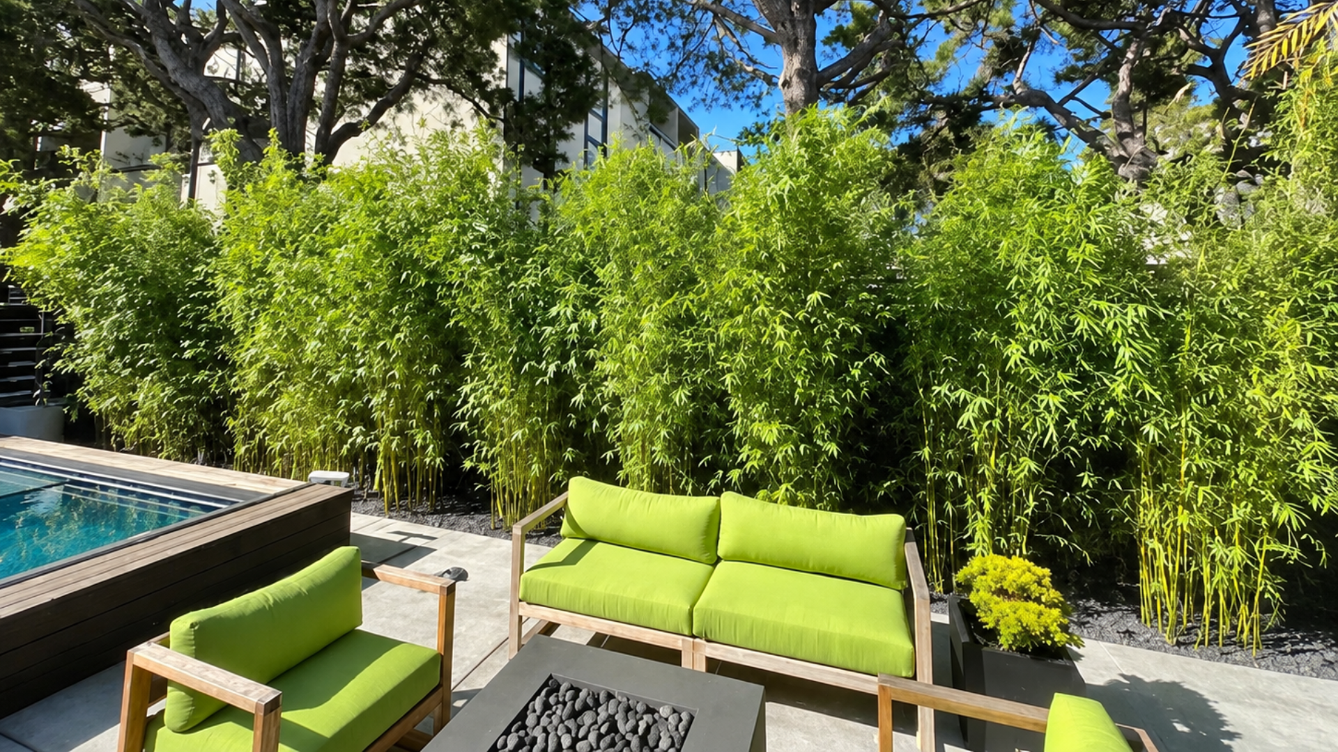 Modern patio with lime-green seating beside a pool and tall green hedge in bright sunlight