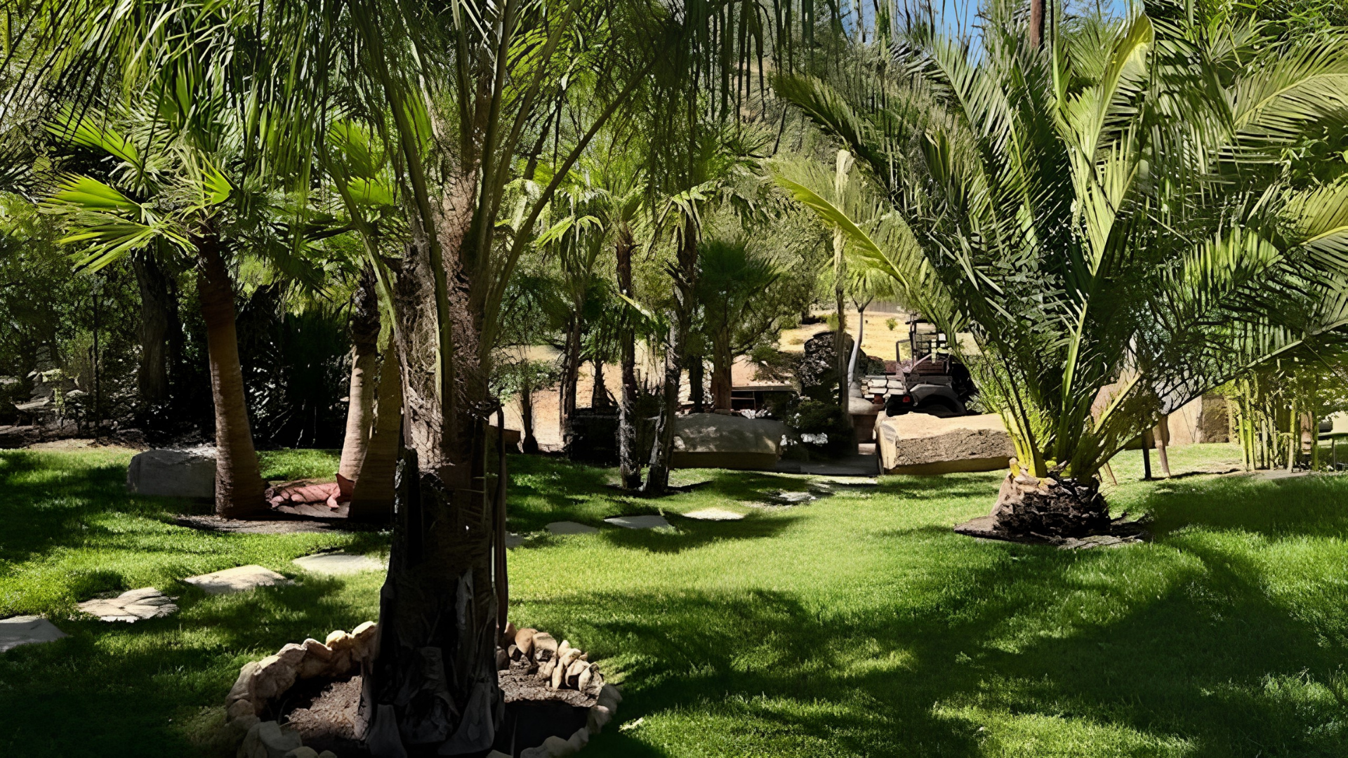 Lush tropical garden with palm trees, green lawn, and a shaded seating area in the background