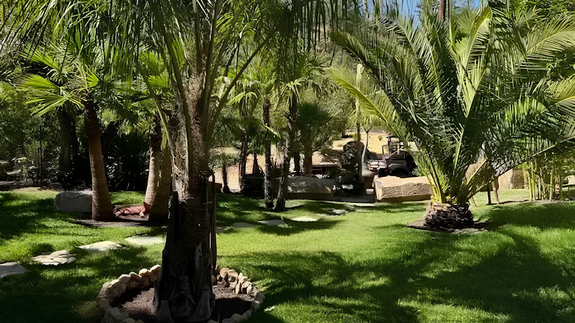 Palm trees and lush green lawn in a sunny landscaped garden with shaded seating areas.