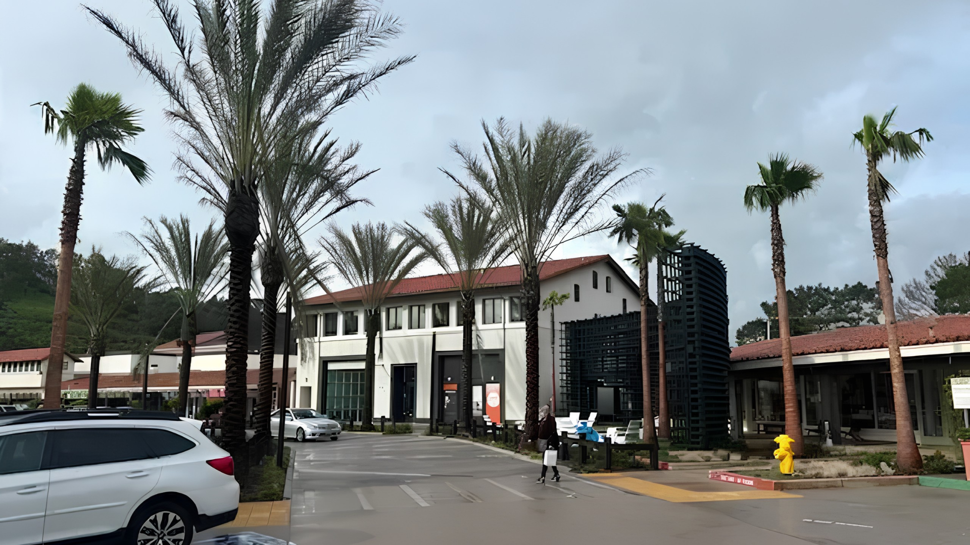 Palm-lined hotel entrance with white building, parked cars, and a few people near the driveway