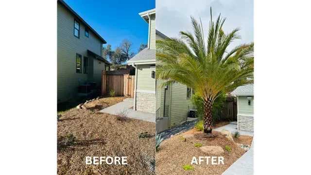 A before and after picture of a house and a palm tree.