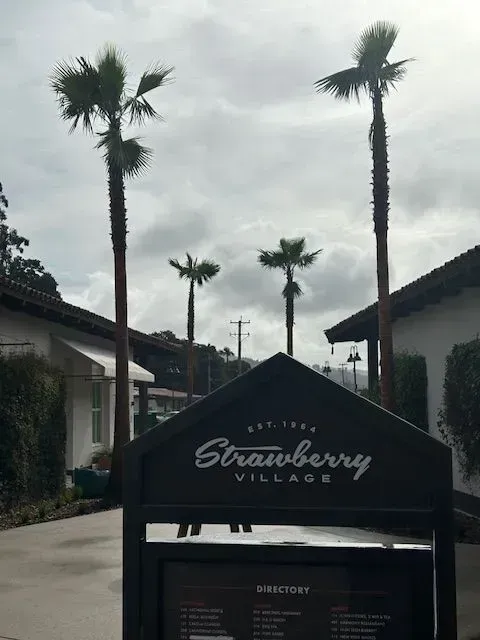 A sign for strawberry village with palm trees in the background