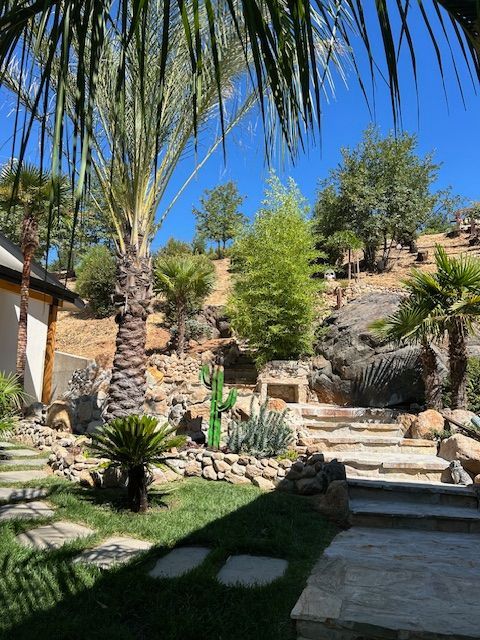 A lush green garden with palm trees and stairs