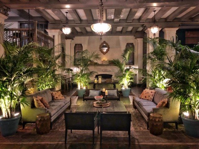 Hotel Petaluma – Kentia Palms