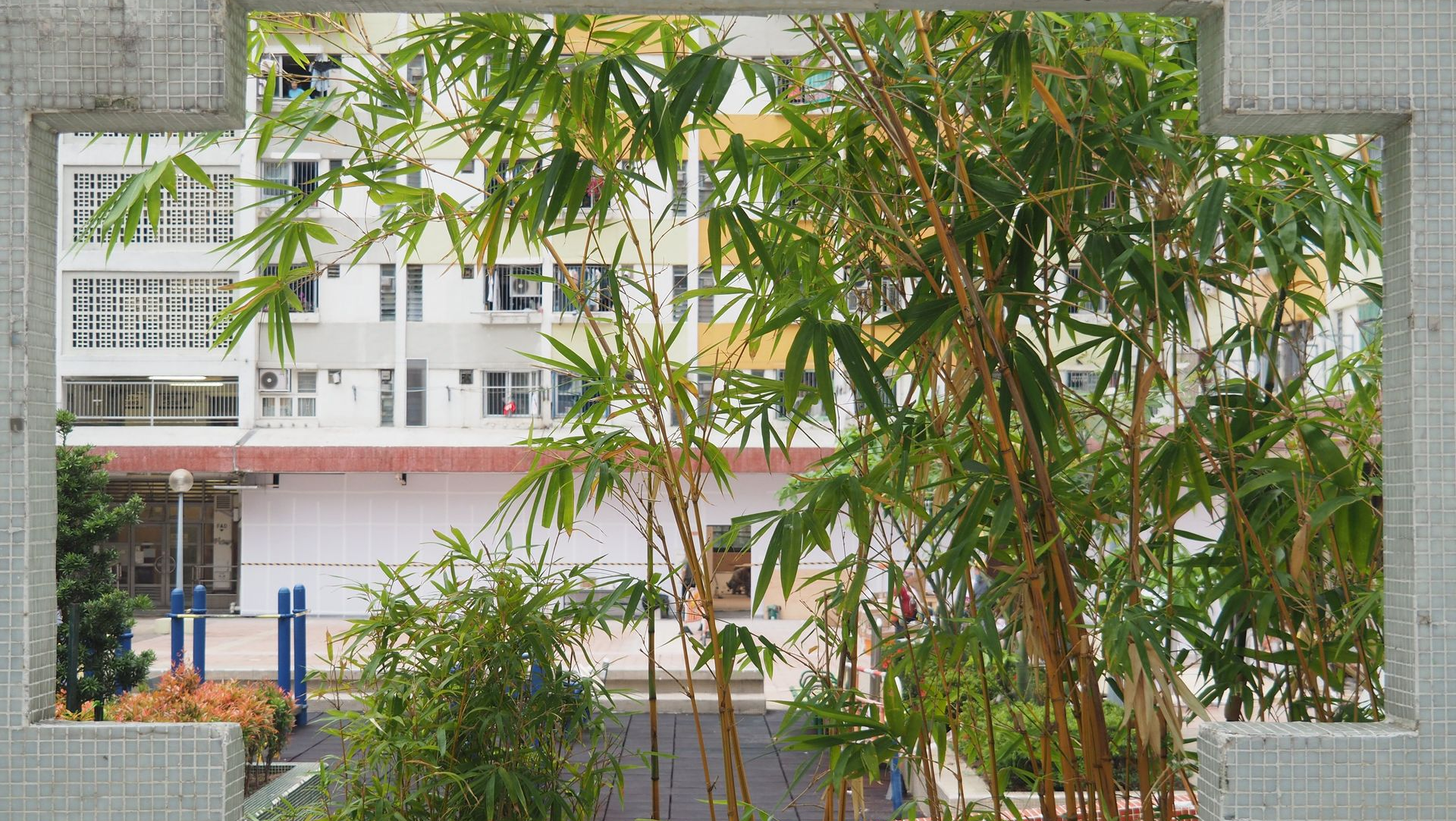View through a concrete window frame to a white building and leafy green trees outside.