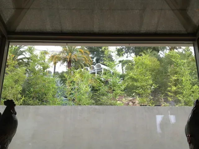 Gracilis Bamboo