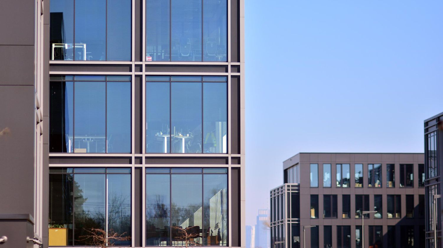 Commercial Window