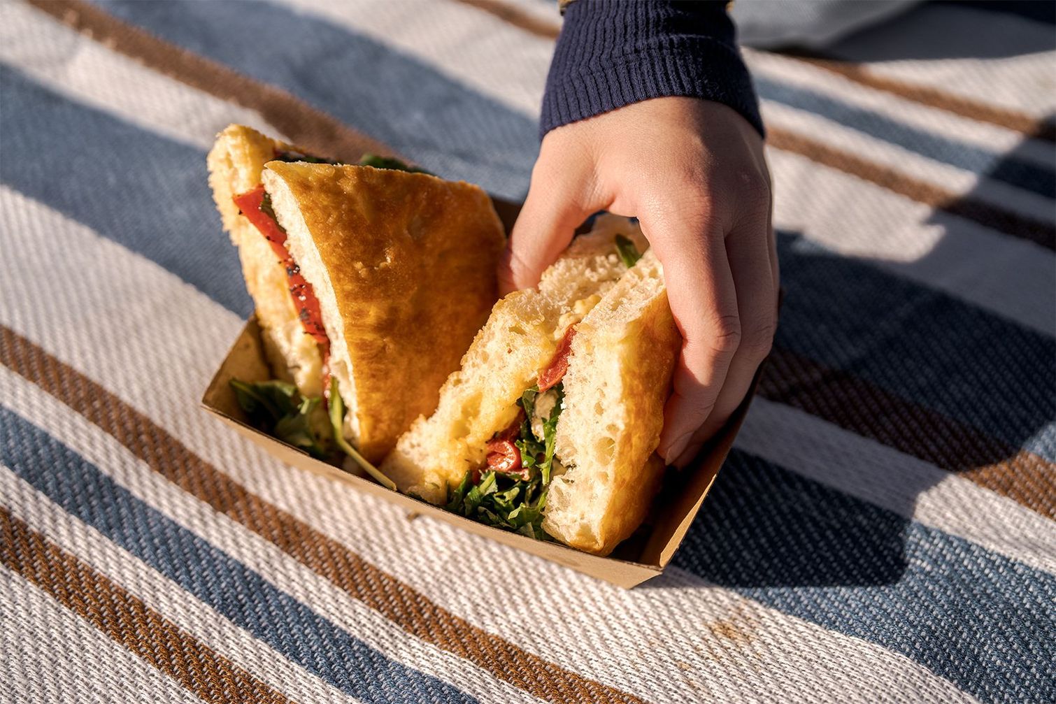 Hand grabbing sandwich on a blue and brown stripped picnic blanket