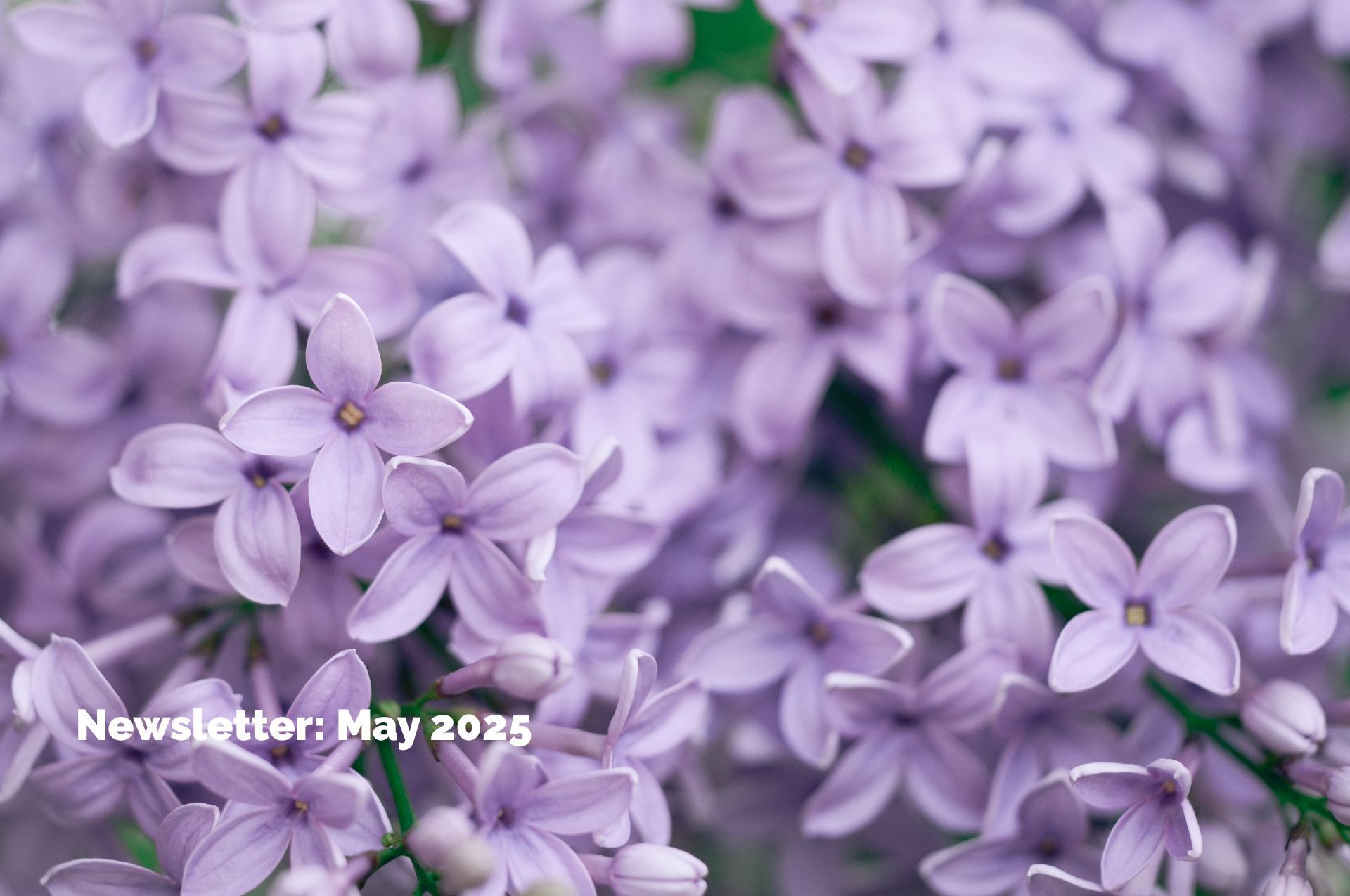 Kube Medical | Newsletter May 2025