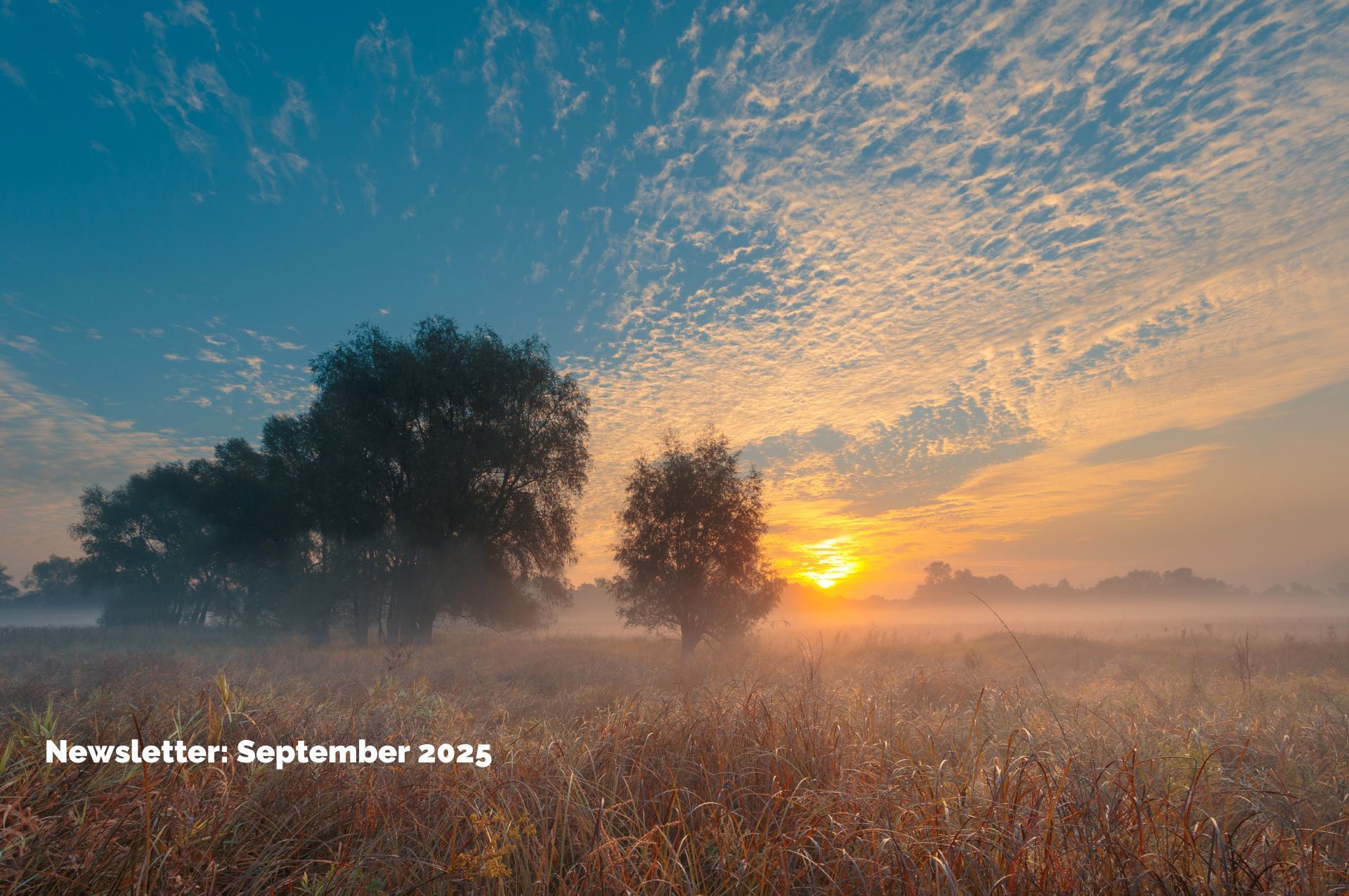 Kube Medical Newsletter September 2025