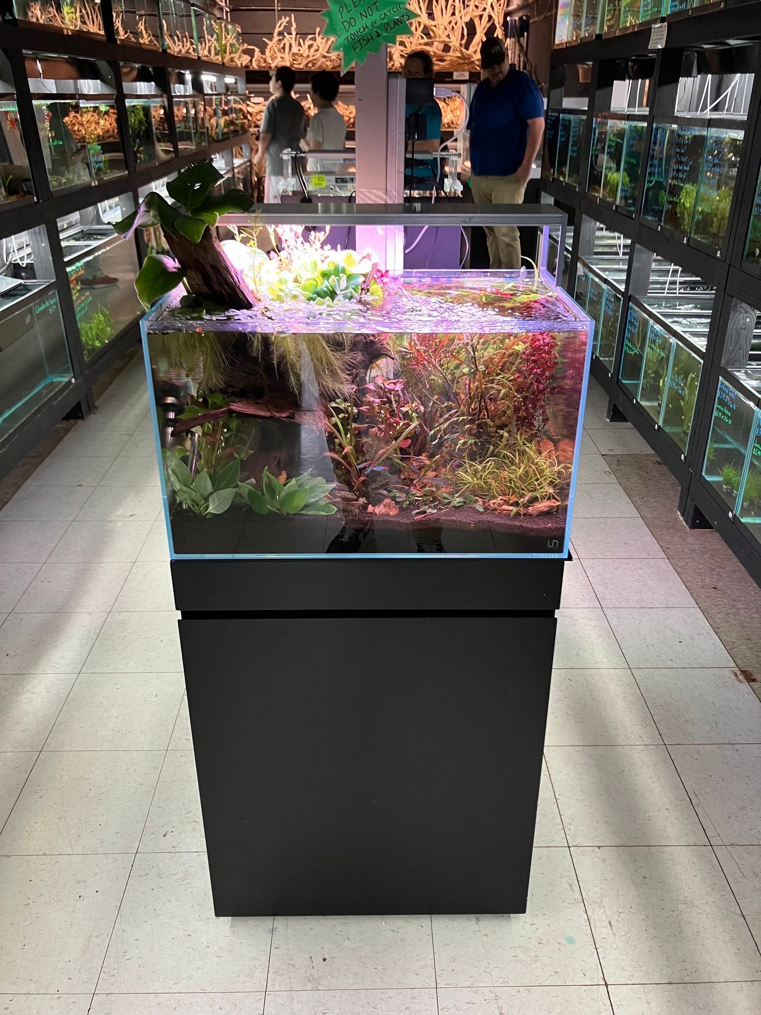 Glass aquarium display on a black pedestal in a modern indoor walkway, lit with colorful fish and plants