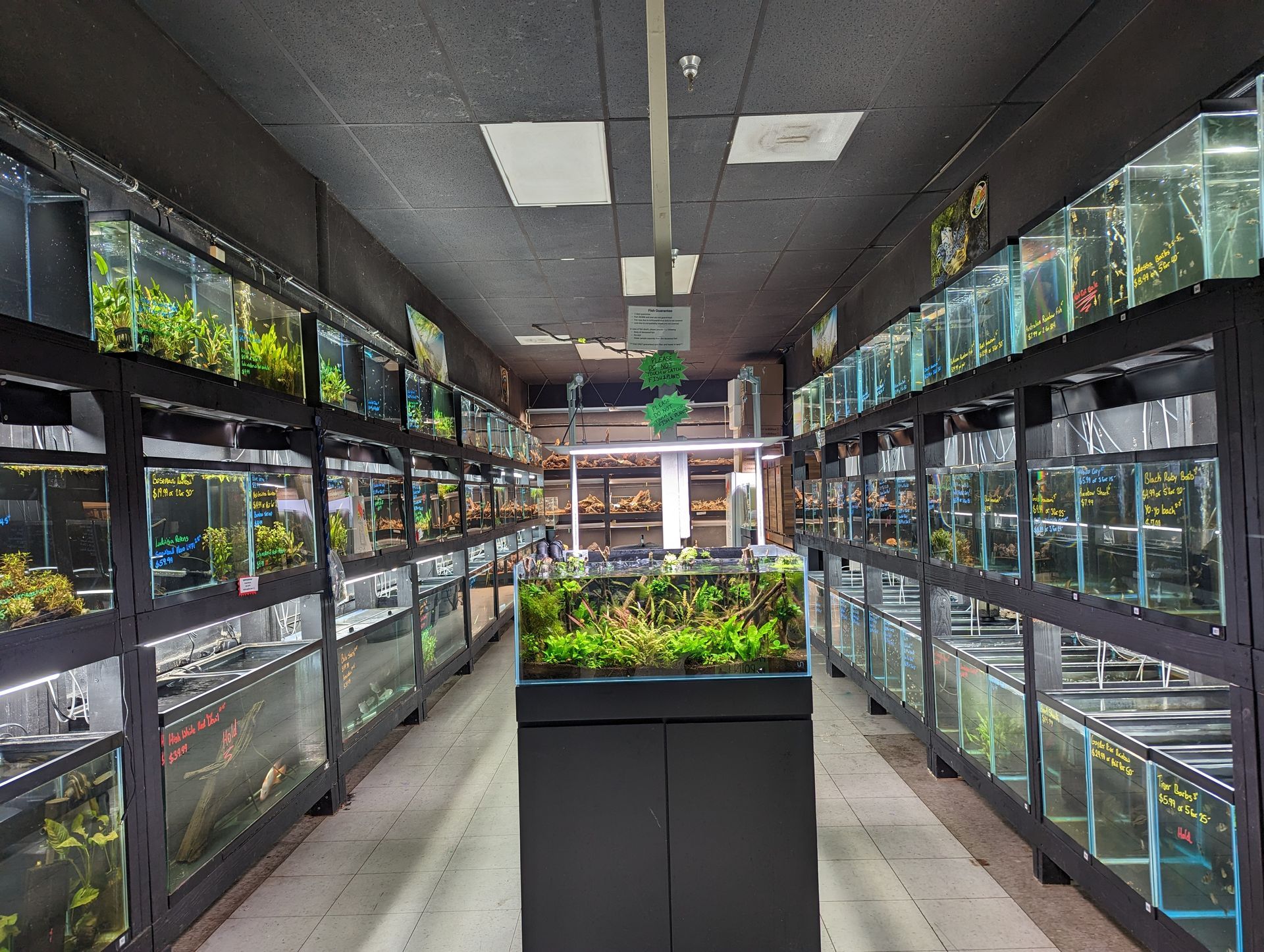 Animal House Pet & Supplies store aisle lined with fish tanks and green aquarium plants, with a display tank in the center.