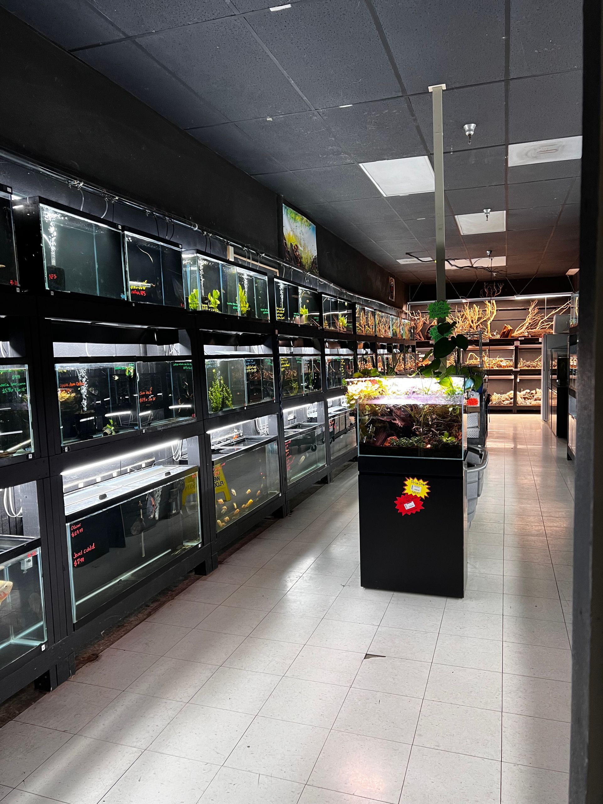 Animal House Pet & Supplies aisle with rows of aquariums and a black display stand in the center.