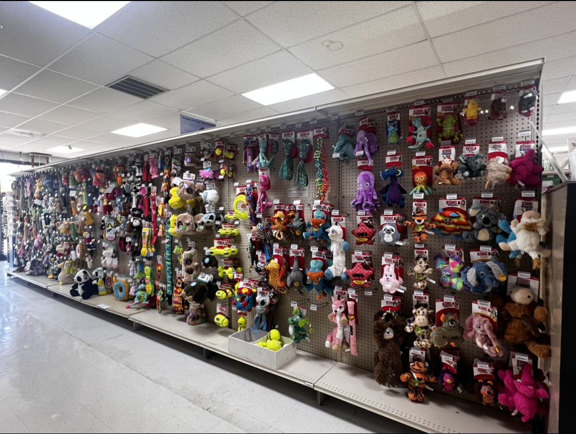 Store aisle packed with rows of colorful stuffed toys and plush animals on wall displays
