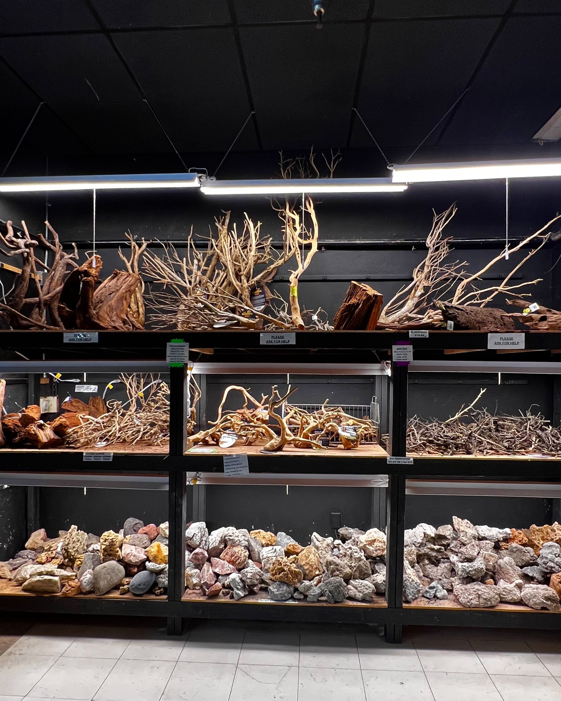 Aquarium store display of driftwood and rocks arranged in rows under bright lights.