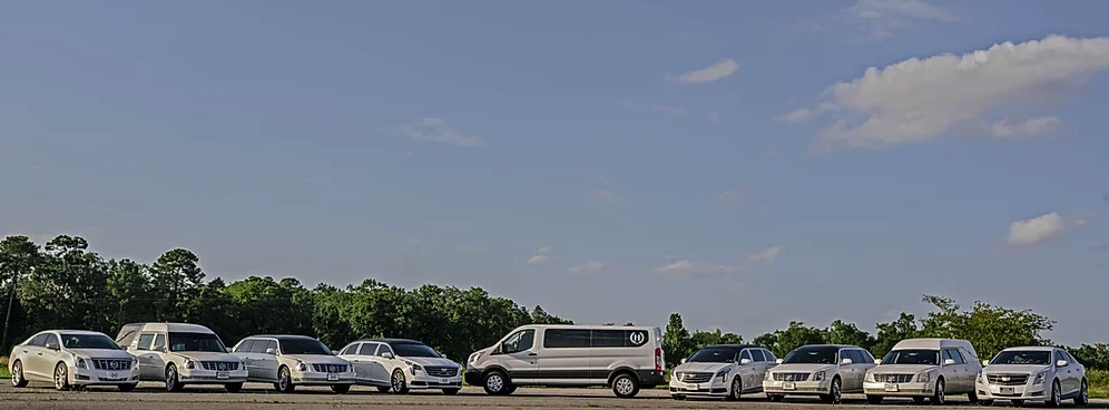 Line of parked white cars and a white bus along a tree-lined road under a blue sky