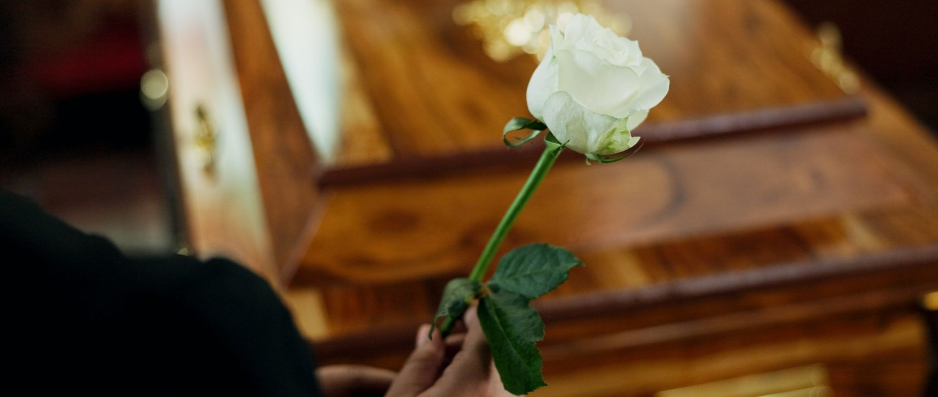 A hand holding a white rose in a wooden church pew area