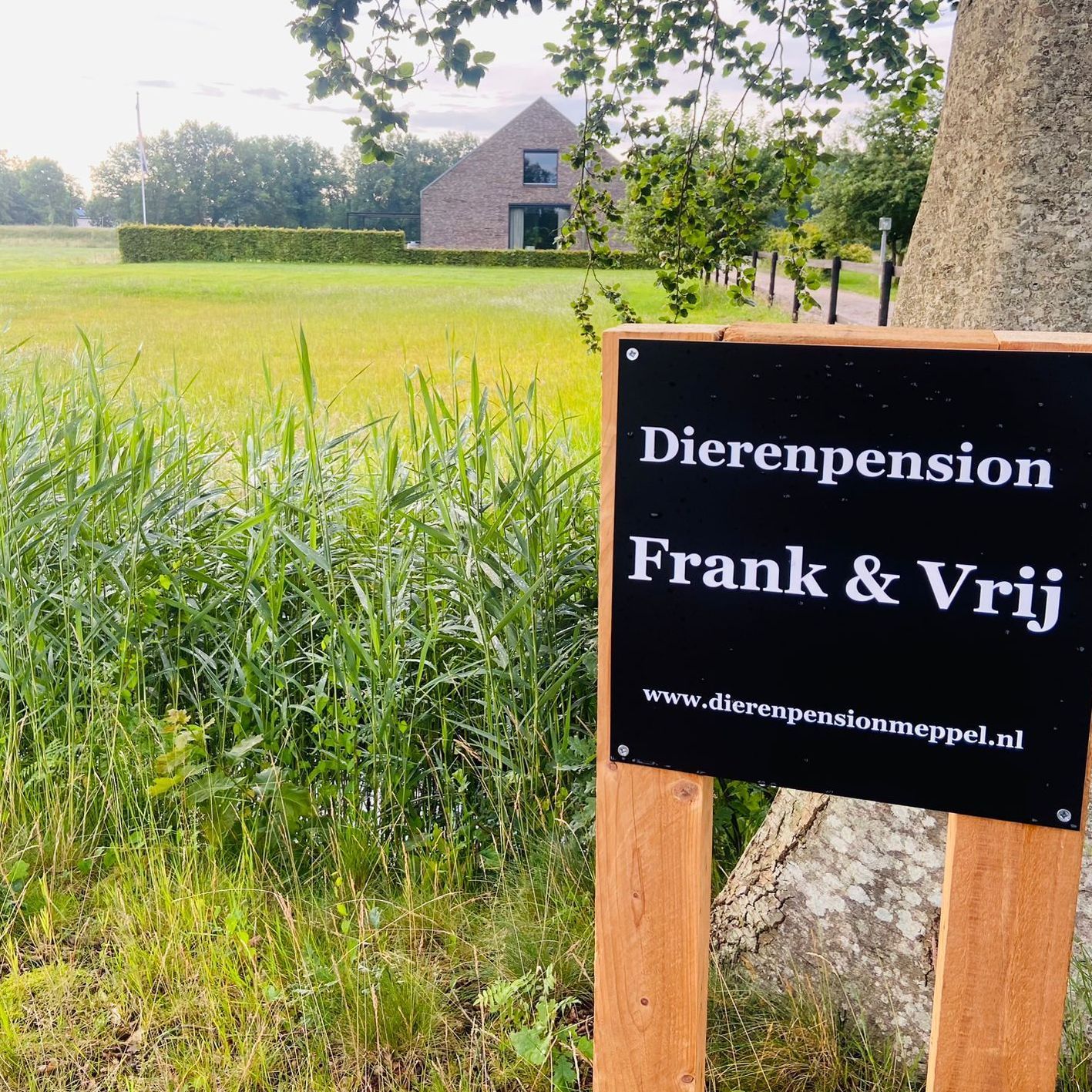 Dierenpension Meppel
