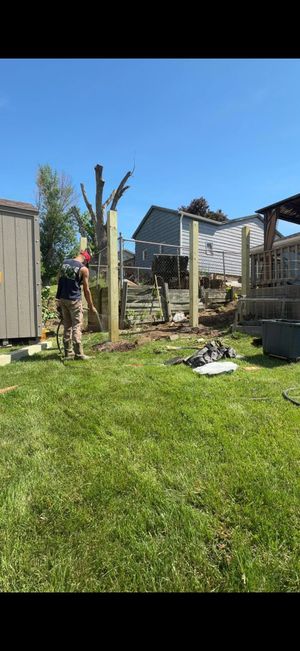 Backyard with green lawn, damaged fence posts, and a partly collapsed structure under a blue sky
