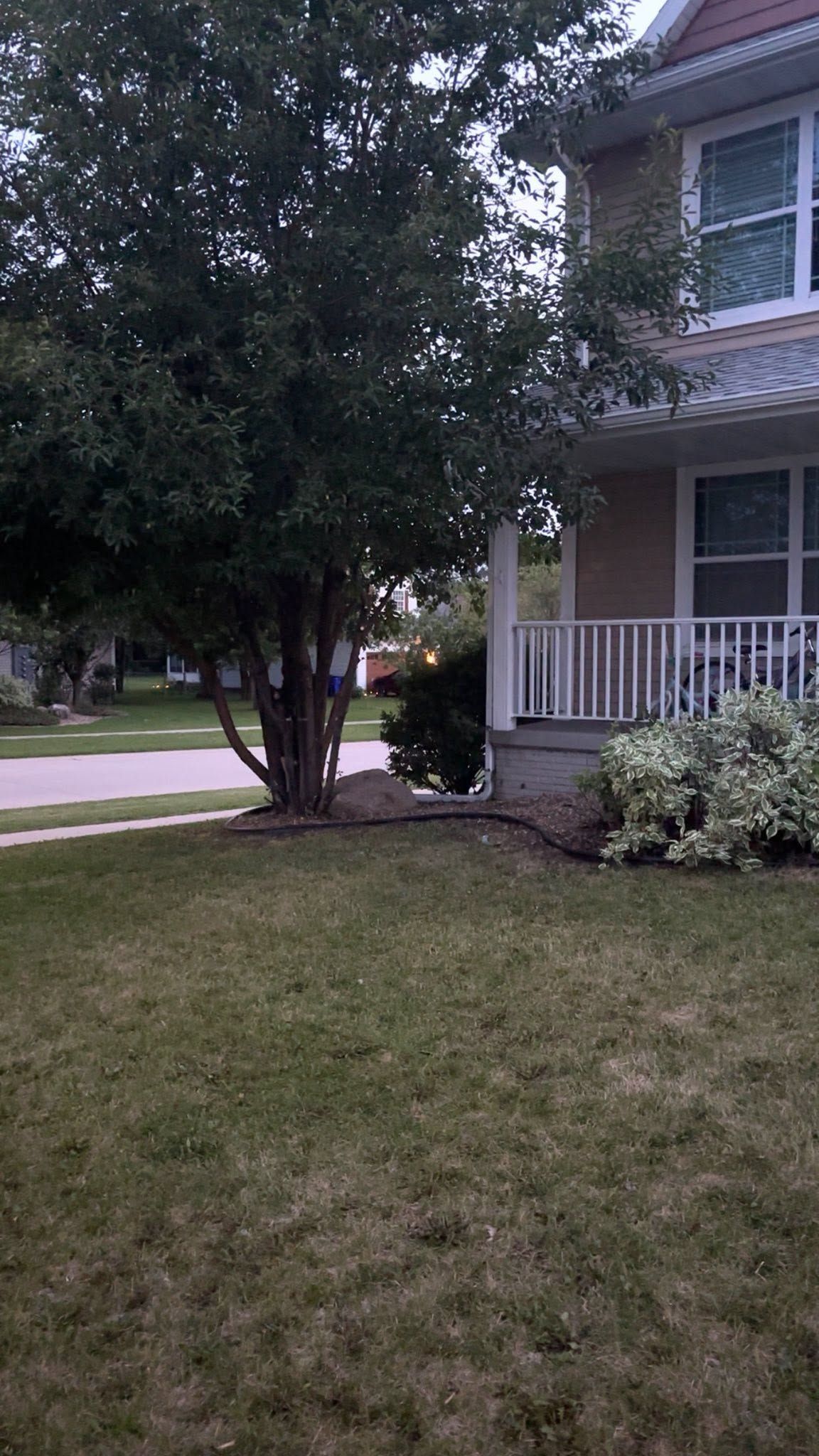 Front yard with a large tree and a two-story house with a white porch and bushes.