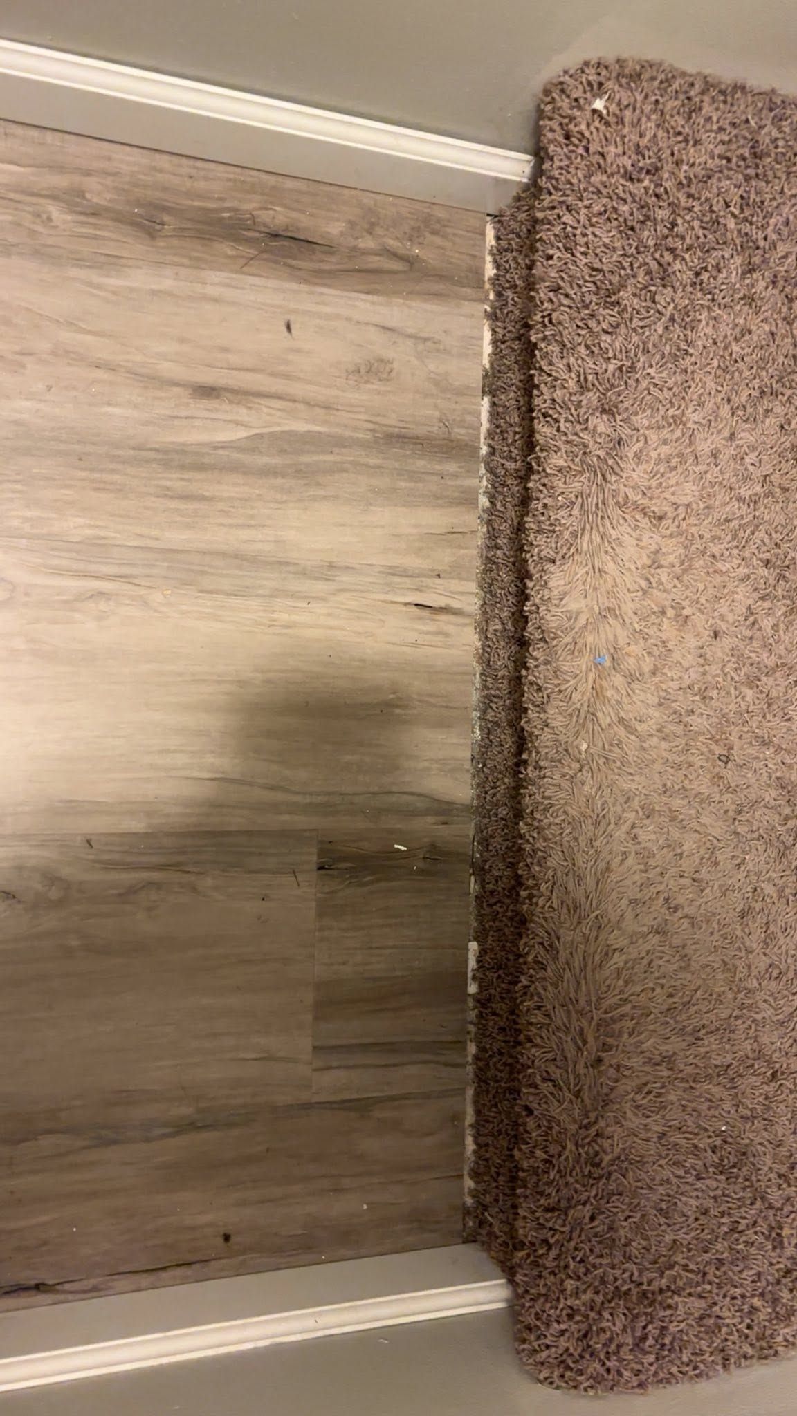 Close-up of a tan carpeted staircase next to light wood flooring and white trim.