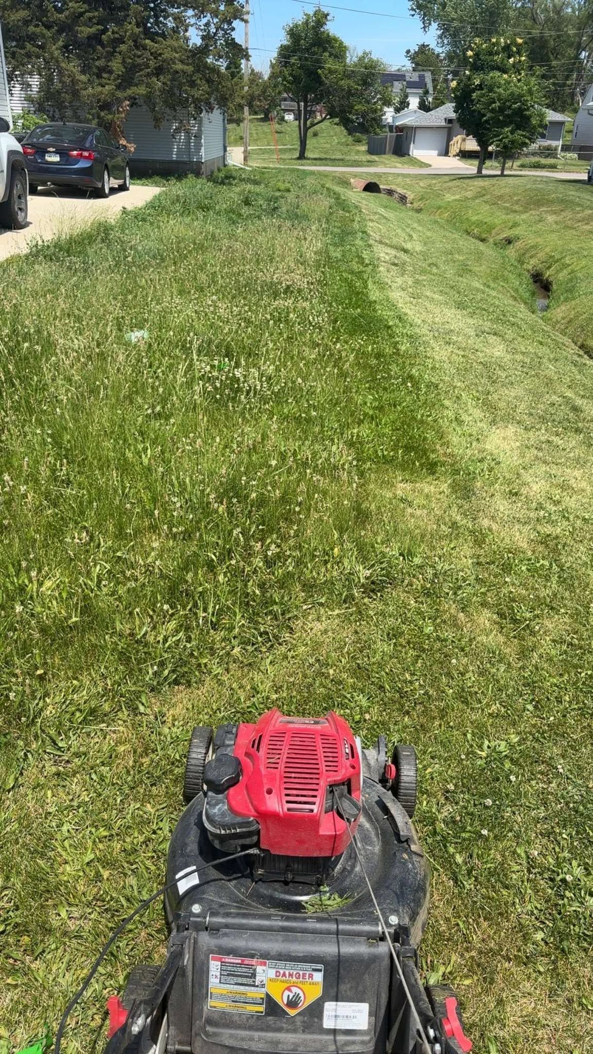 Lawn mower cutting a grassy yard with white flowers near parked cars and trees on a sunny day