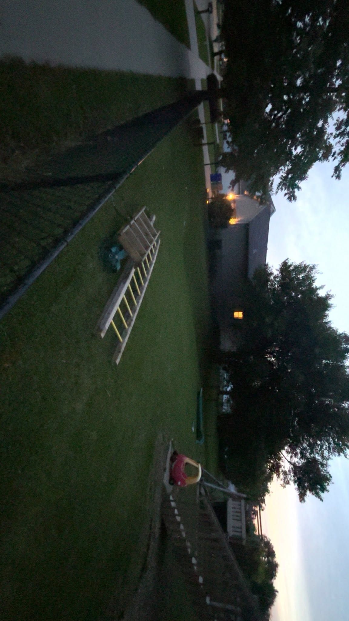 Evening backyard with green lawn, ladders on the grass, and a house glowing in the distance.