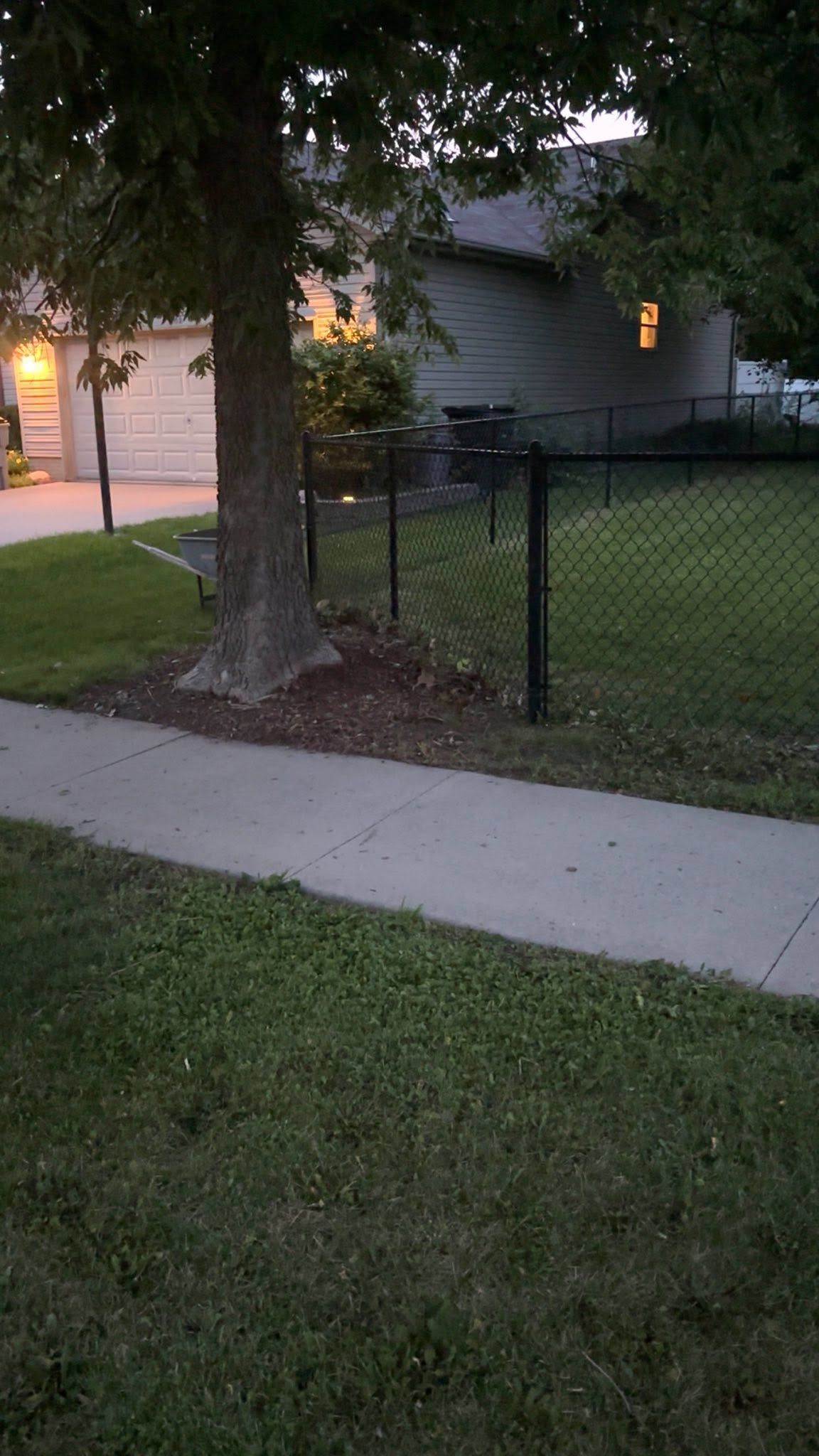 Sidewalk beside a fenced yard with a large tree and a house lit by warm porch lights at dusk