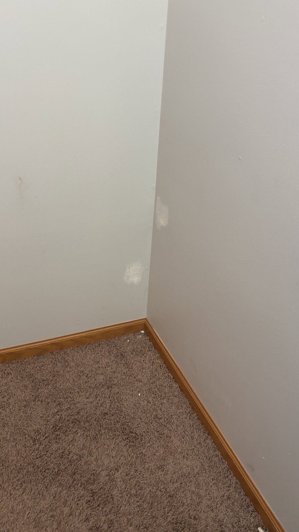 Corner of a room with white walls, tan carpet, and small wall scuffs near the baseboard.