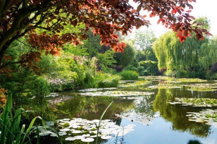 images from Monet’s gardens