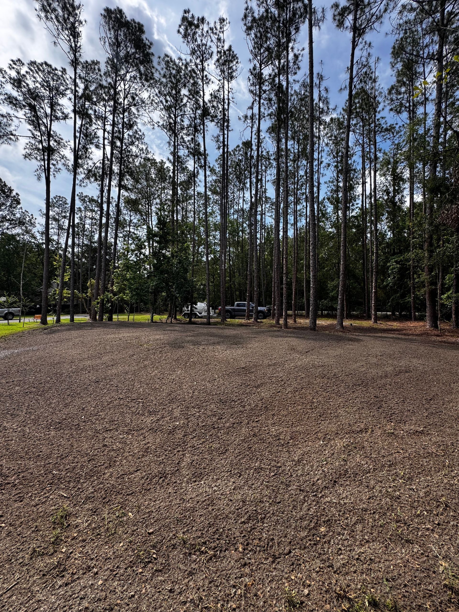 Cleared field with brown mulch, tall trees in the background, and blue sky.