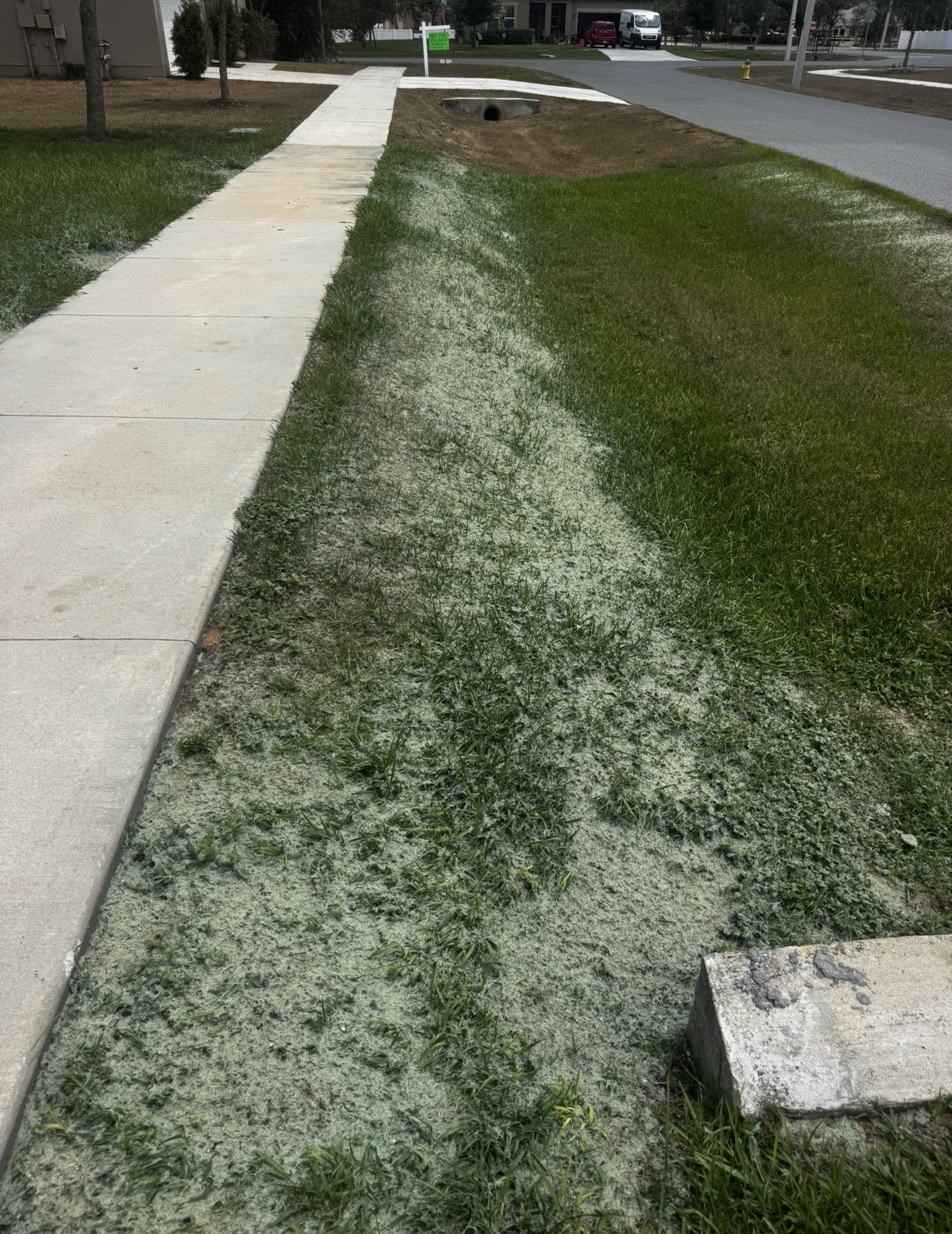 Sidewalk next to grass covered in sand; houses in the background.