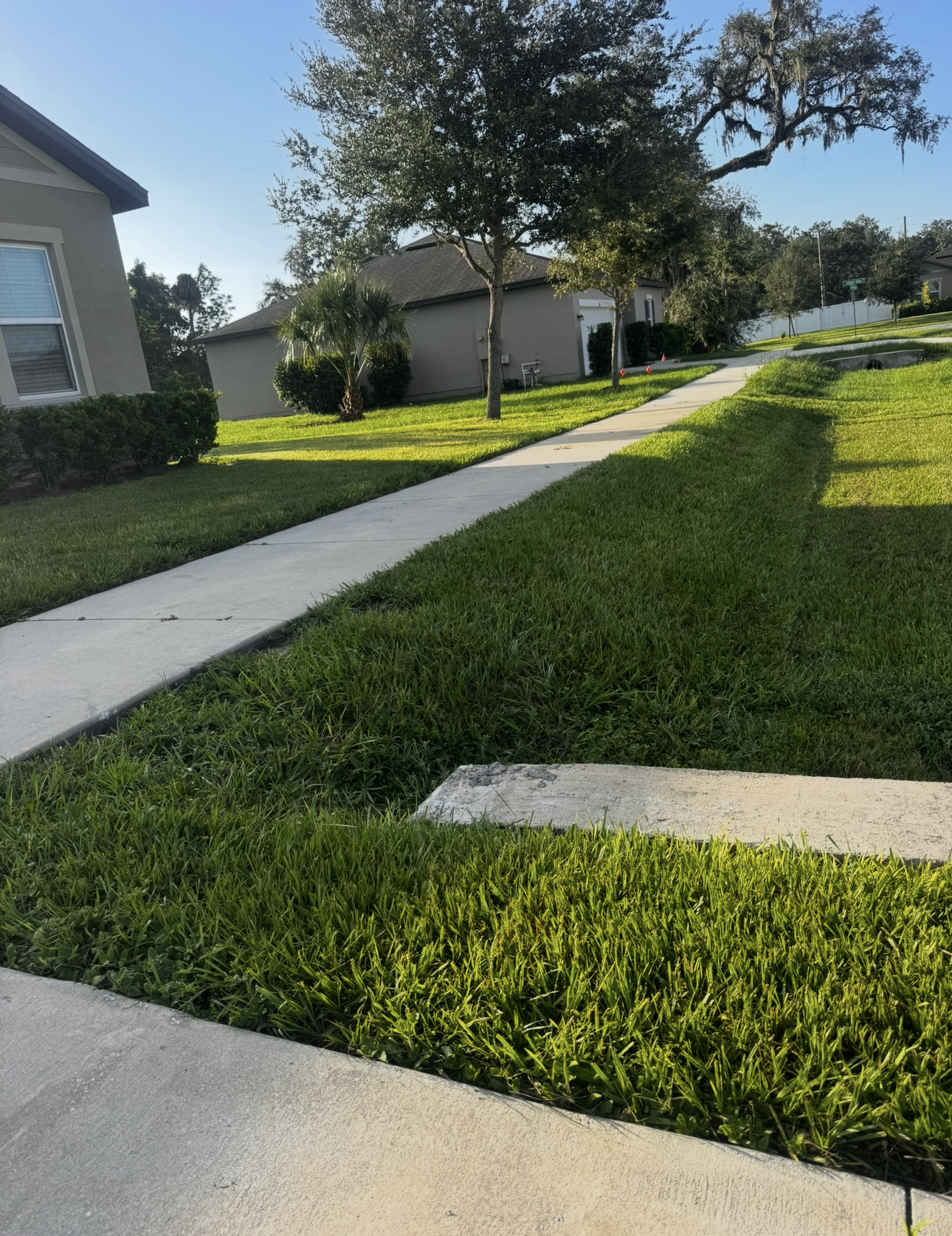 Grassy neighborhood scene with sidewalks, houses, and trees under a bright, sunny sky.