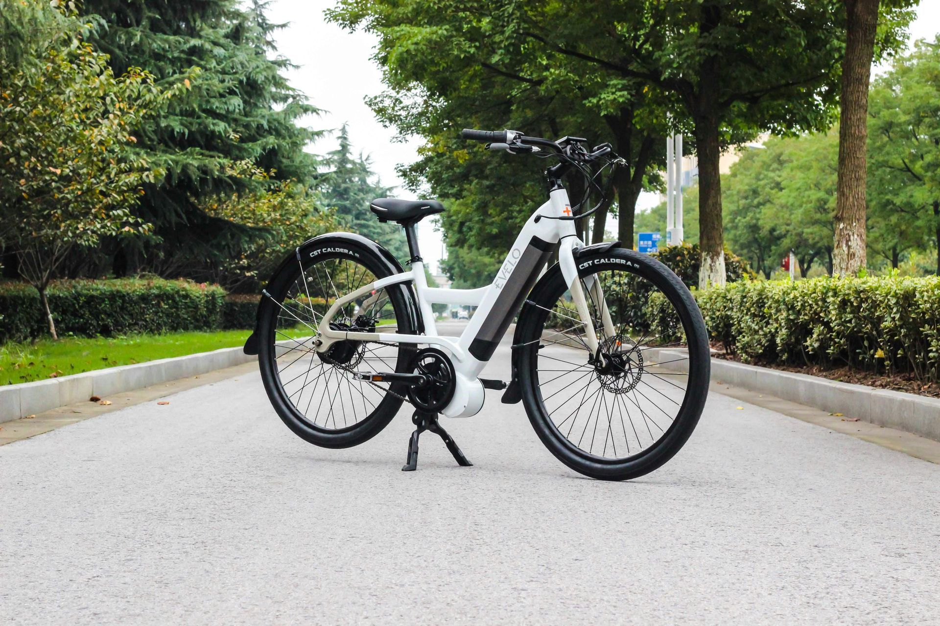 E-bike Rental