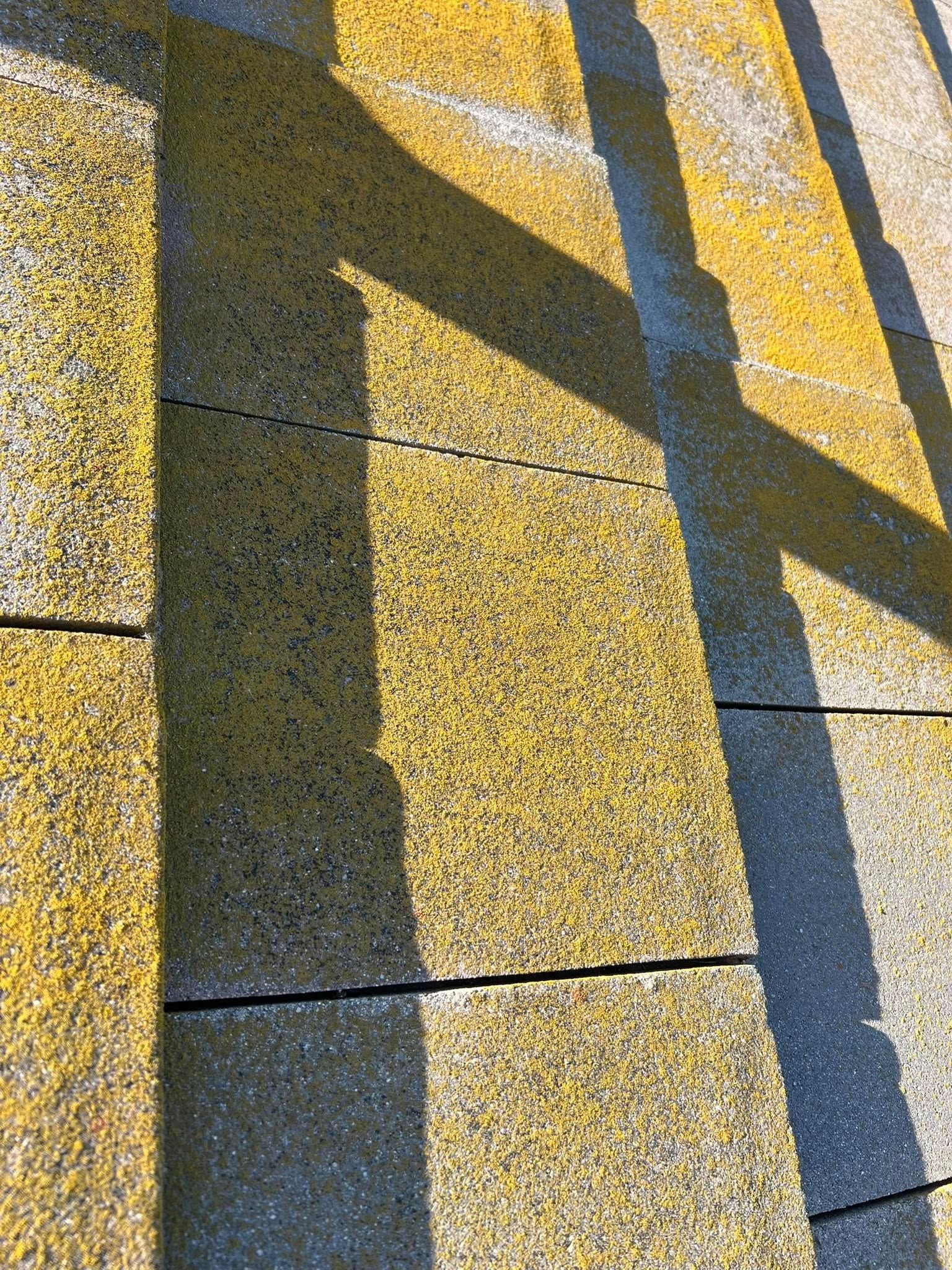 Yellow, textured roof shingles with sharp, dark shadows cast by an overhead structure.