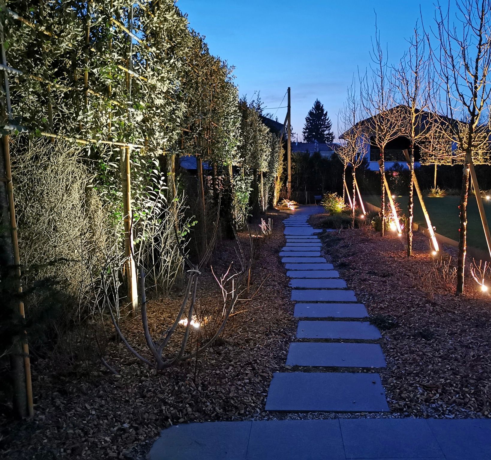 un chemin entouré d' arbres est éclairé la nuit