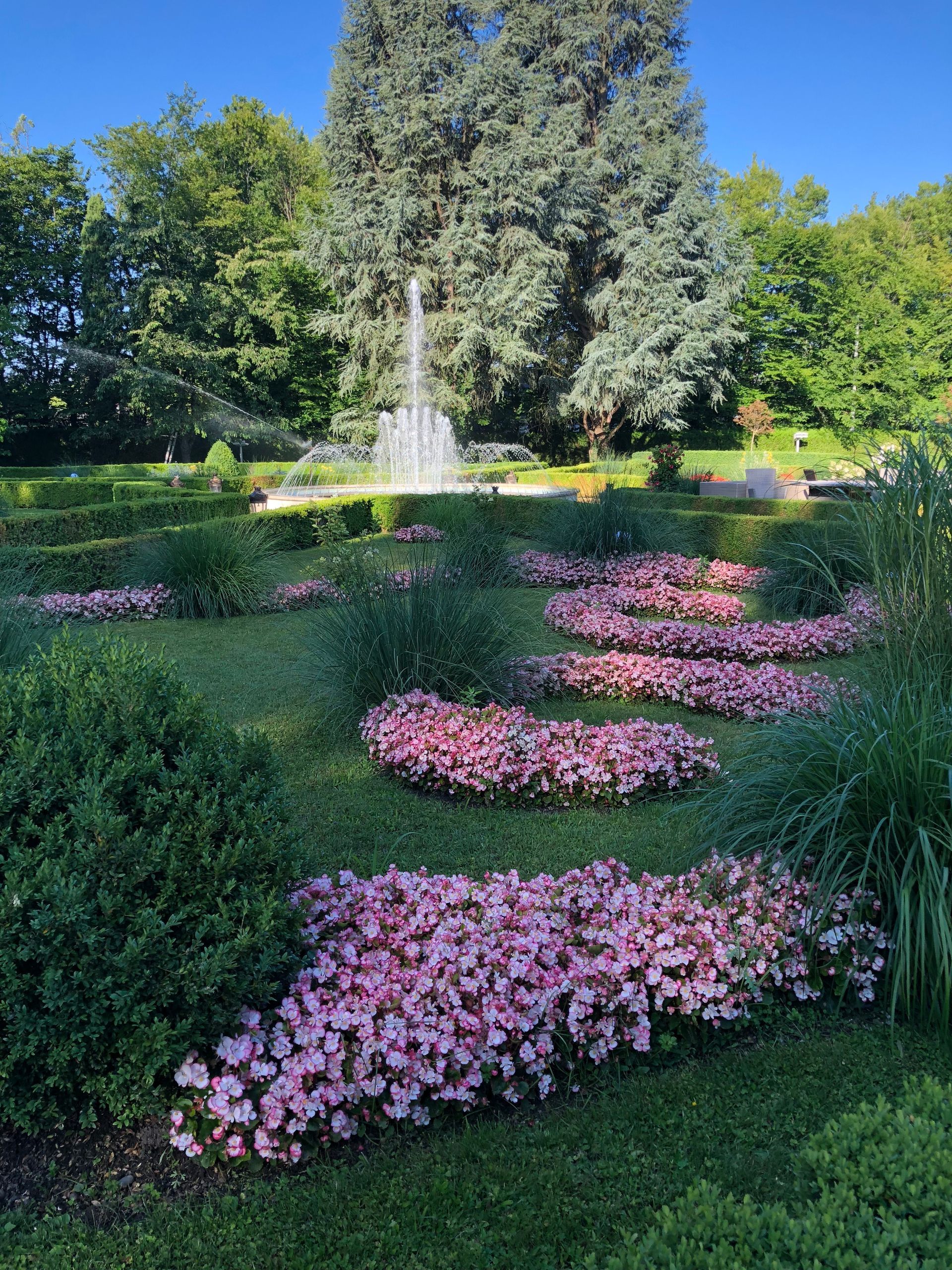 un jardin rempli de fleurs roses et d' une fontaine .