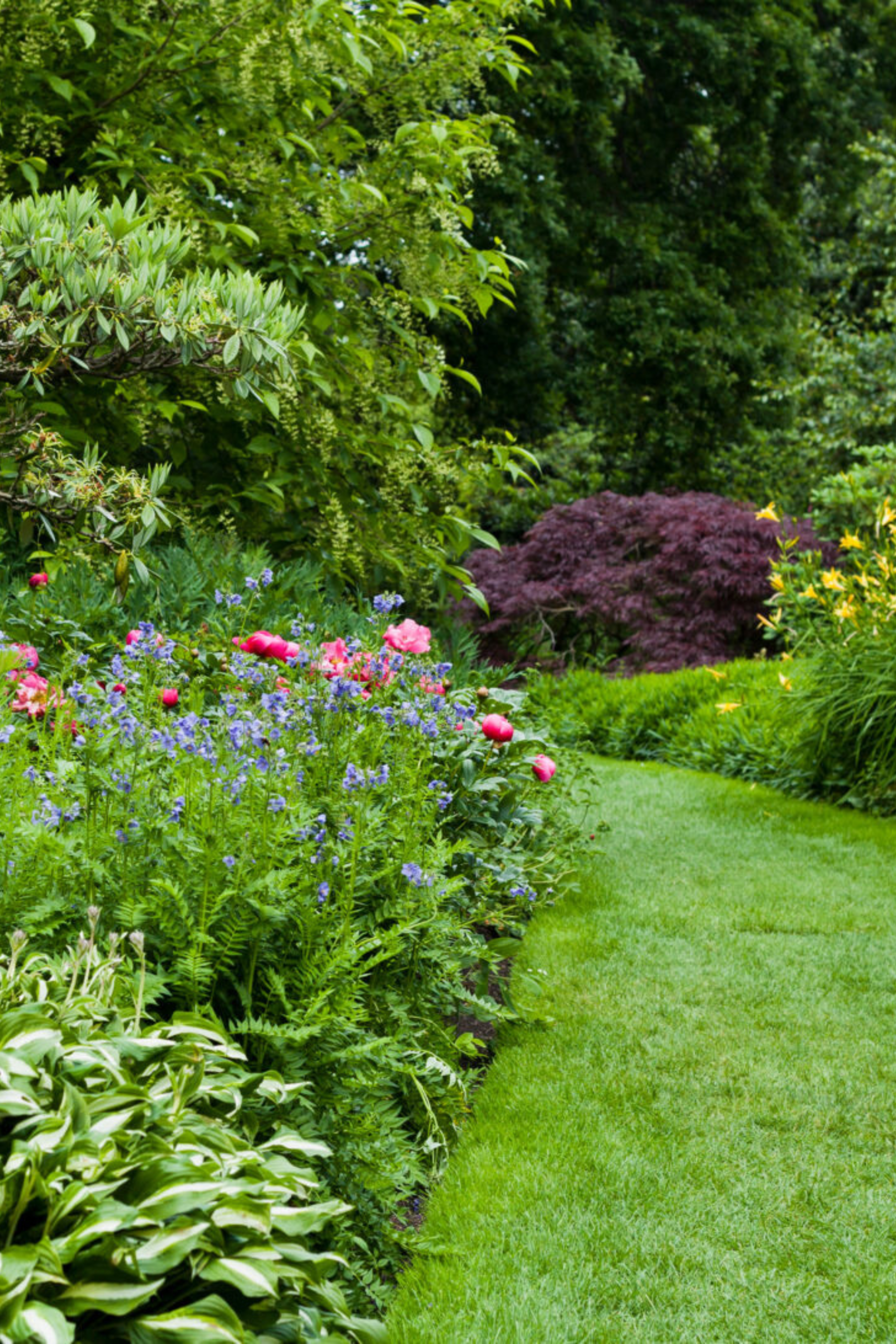 un jardin avec beaucoup de fleurs et d' arbres