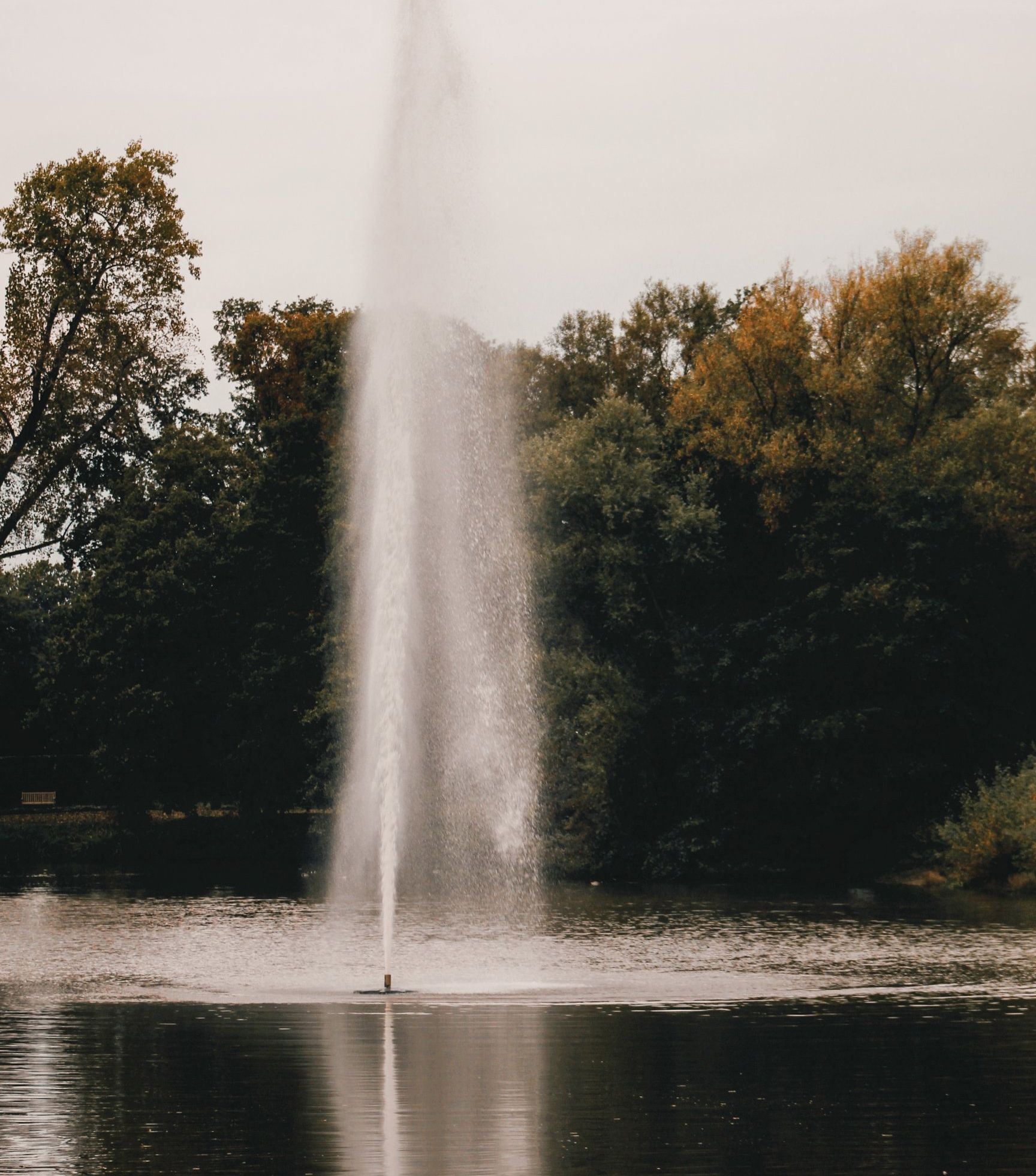 une fontaine avec des arbres en arrière-plan
