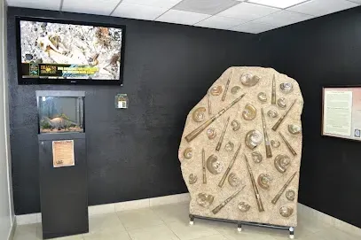 HWH San Diego Hard Money Lender - Real Estate highlights cultural and educational appeal near the Creation & Earth History Museum & Bookstore in Santee. The image showcases museum exhibits, educational displays, and unique architecture that reflect the community’s focus on learning and discovery.