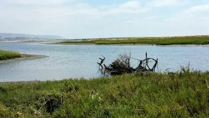 HWH San Diego Hard Money Lender - Real Estate highlights natural beauty and investment potential near the Tijuana River National Estuarine Research Reserve. The image showcases marshlands, wildlife habitats, and scenic trails that reflect the ecological richness of the area.