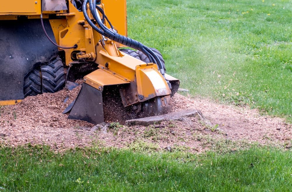 A Yellow Stump Grinder is Cutting a Tree Stump in a Lush Green Field — Ability Tree Service in Darawank, NSW