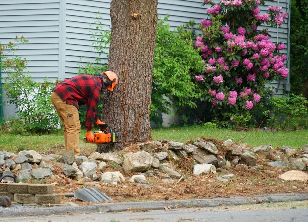 A Man is Cutting a Tree With a Chainsaw in a Yard — Ability Tree Service in Darawank, NSW