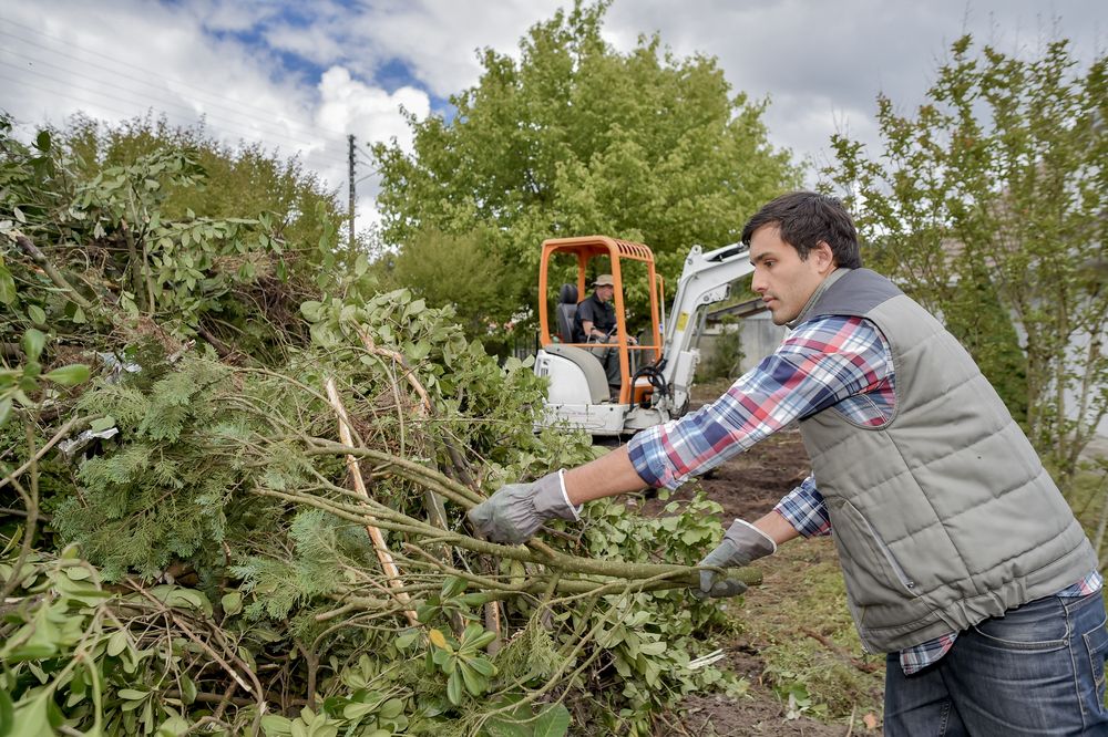 A Man is Standing in Front of a Pile of Branches — Ability Tree Service in Darawank, NSW