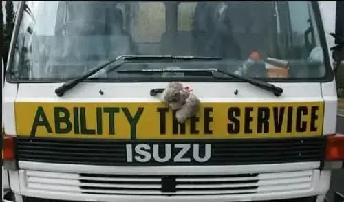 A White Truck With a Yellow Sign That Says Ability Tree Service — Ability Tree Service in Darawank, NSW