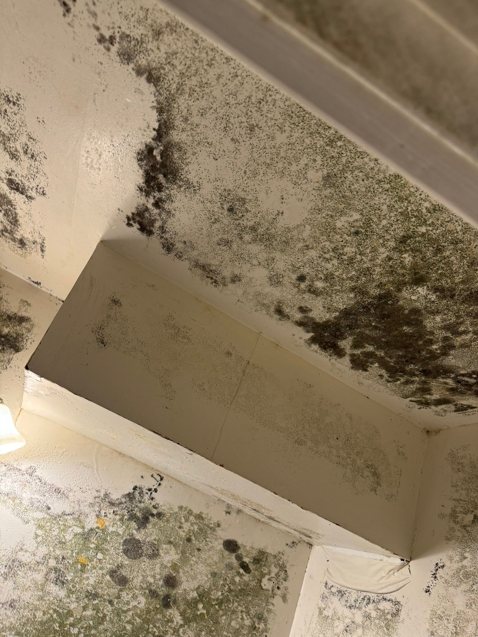 Ceiling and wall corners covered with dark mold and mildew stains.