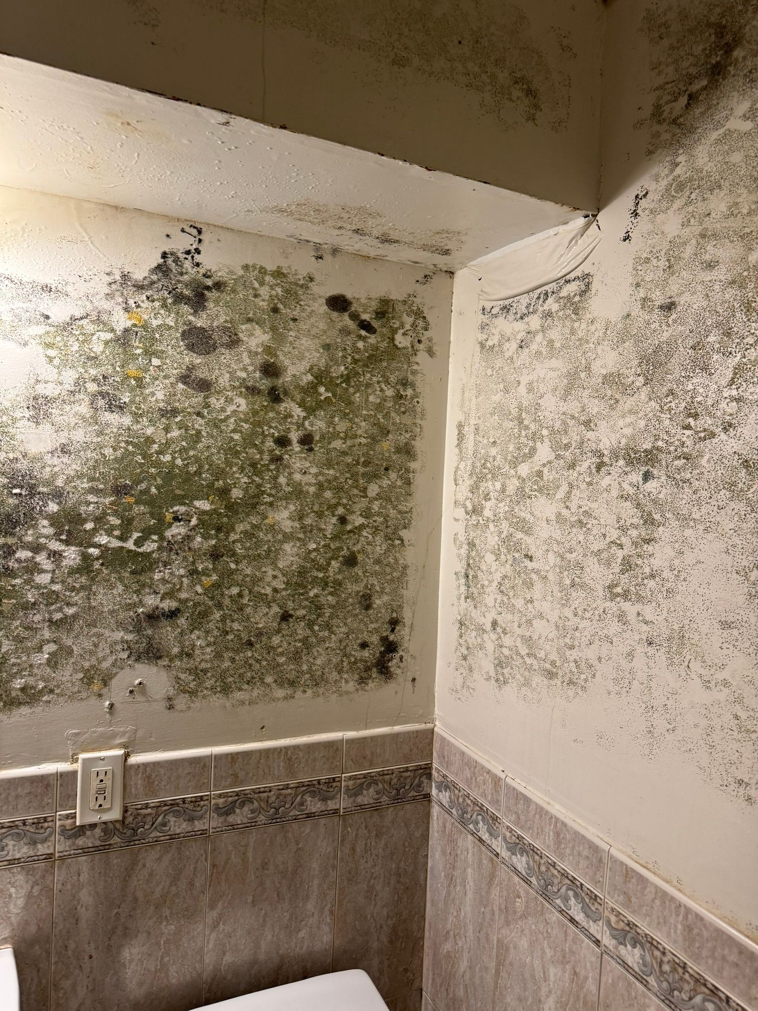 Mold-covered bathroom walls and mirror, with green-black mildew spreading across the white surfaces.