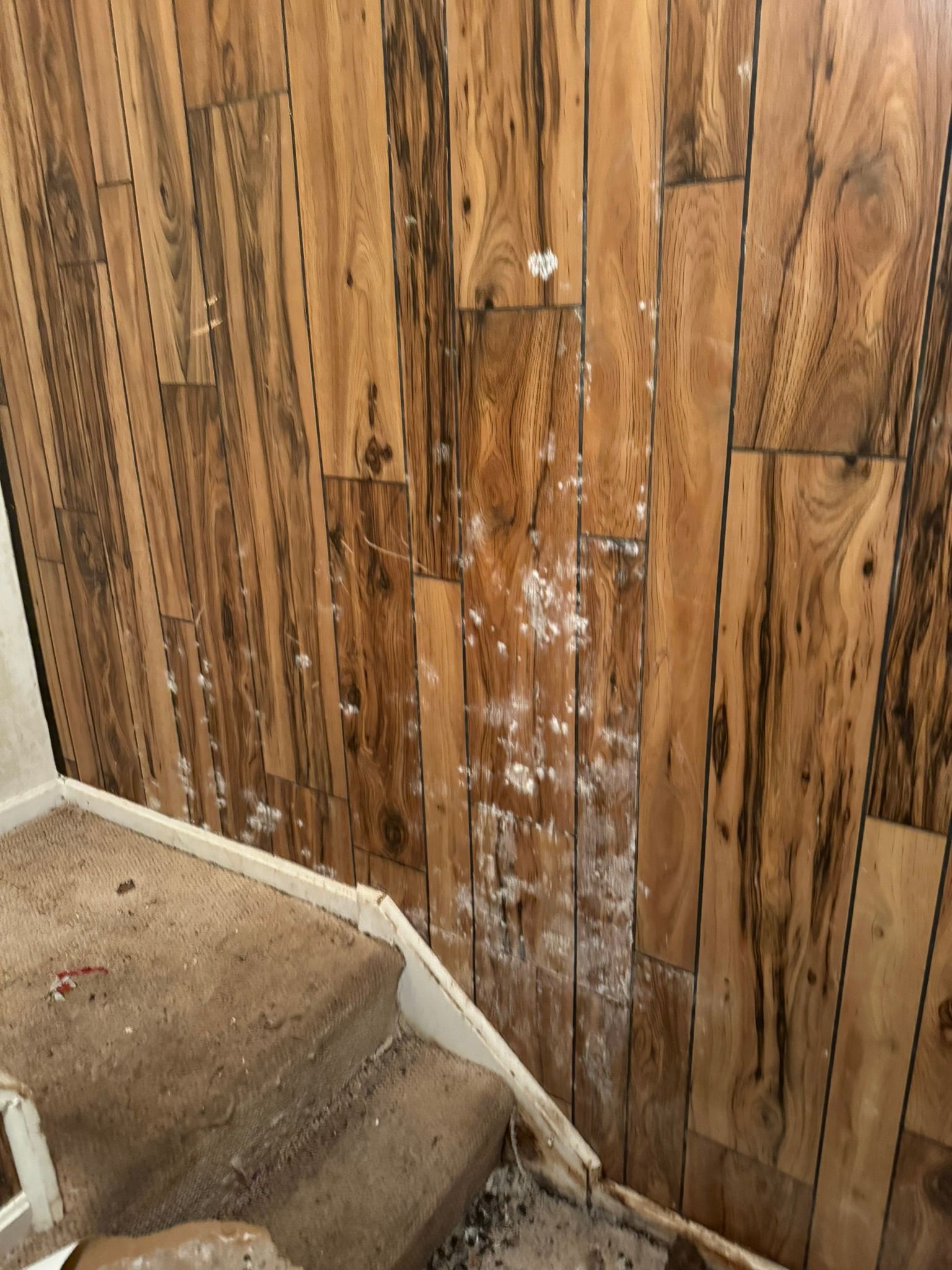 Damaged wood-paneled wall beside carpeted stairs, with white stains and peeling trim.